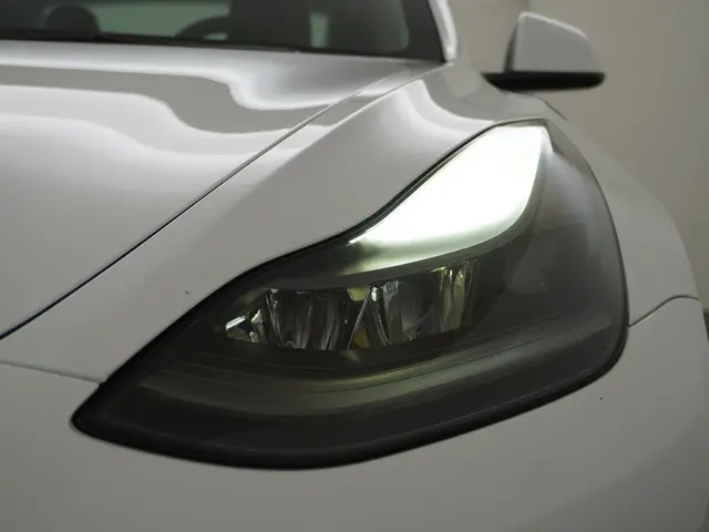 Tesla Model 3 Standard RWD Plus 60 kWh 2021 Elektrisch 15