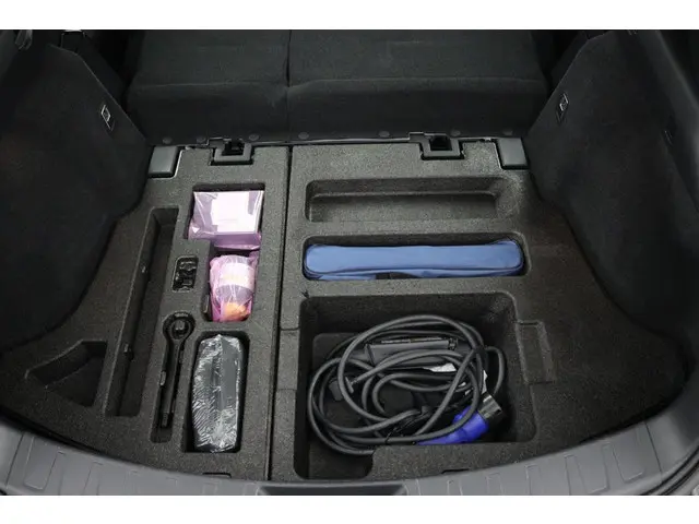 Lexus UX 300e Business 54 kWh 2020 Elektrisch 30