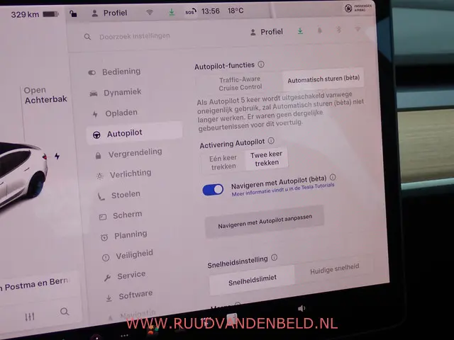 Tesla Model 3 Performance AWD 75 kWh 2021 Elektrisch 17