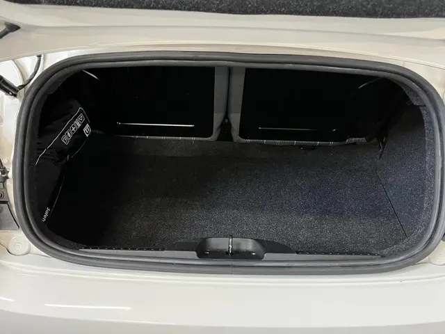 Fiat 500C 0.9 TwinAir Turbo Lounge 2018 Benzine 8