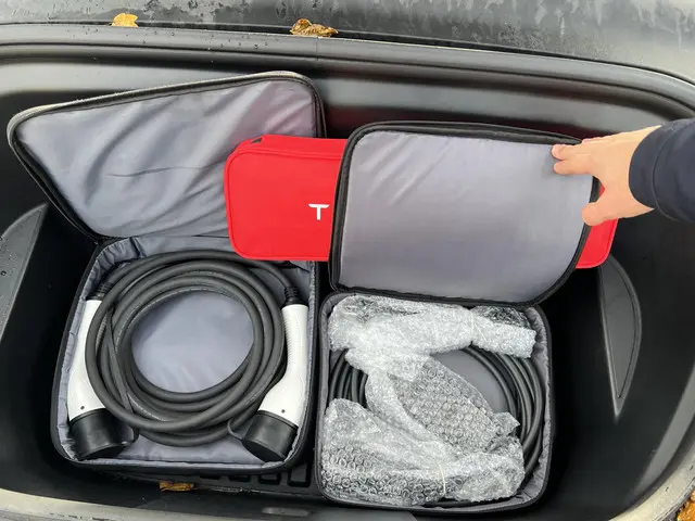 Tesla Model Y Long Range AWD 75 kWh 2022 Elektrisch 25