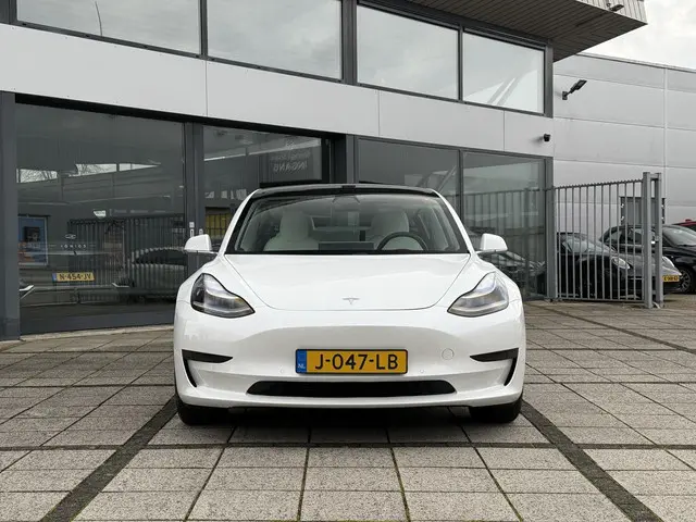 Tesla Model 3 Range Plus RWD 2020 Elektrisch 8