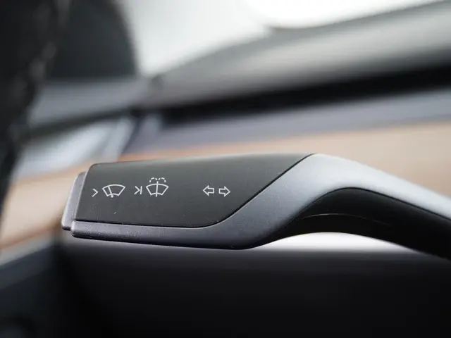 Tesla Model 3 Standard RWD Plus 60 kWh 2021 Elektrisch 26