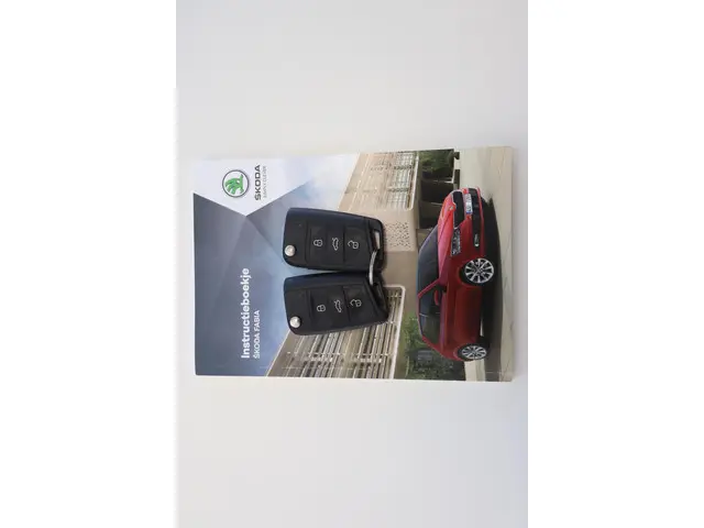 Škoda Fabia Combi 1.0 TSI Business Edition 2021 Benzine 30