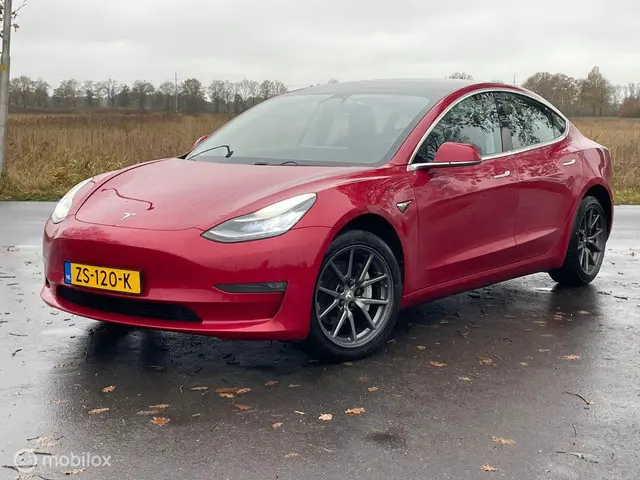 Tesla Model 3 Standard Plaid RWD Plus 2019 Elektrisch