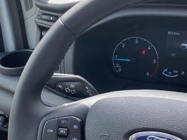 Ford Transit 350 2.0 TDCI L4H1 Trend RWD 2024 Diesel 25