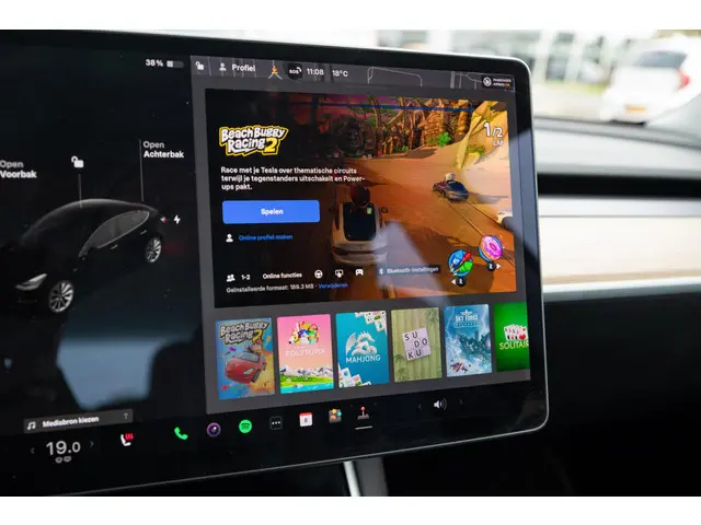 Tesla Model 3 Long Range AWD 75 kWh 2019 Elektrisch 22