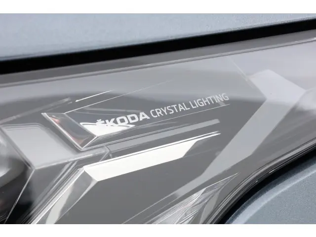 Škoda Enyaq iV 80 First Edition 2021 Elektrisch 29