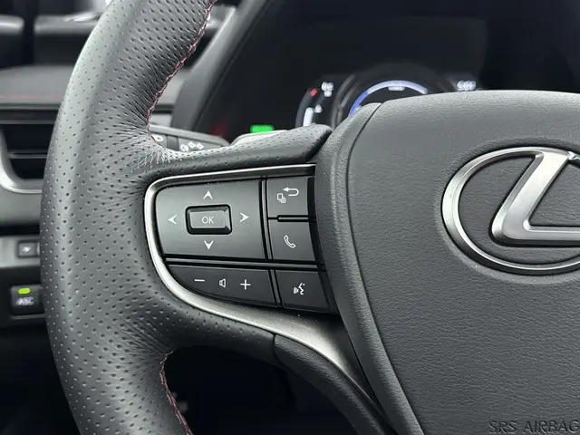 Lexus UX 250h F Sport Line 2024 Hybride Benzine 15