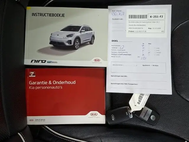 Kia e-Niro ExecutiveLine 64 kWh 2020 Elektrisch 15
