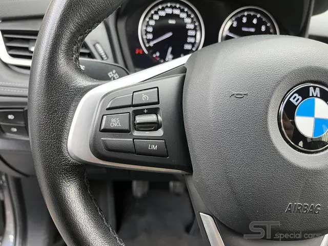 BMW 2 Serie Gran Tourer 216i 7p. 2019 Benzine 20