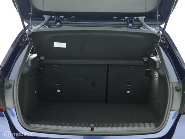 BMW 1 Serie 116d Executive Edition 2020 Diesel 8