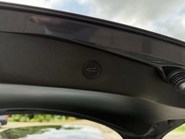 Tesla Model 3 Range Plus 2021 Elektrisch 16