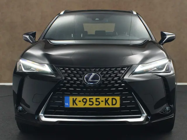 Lexus UX 300e Business 54 kWh 2020 Elektrisch 6