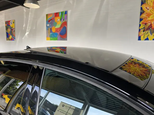 Volkswagen Golf 1.5 eTSI Edition 50 2024 Benzine 42