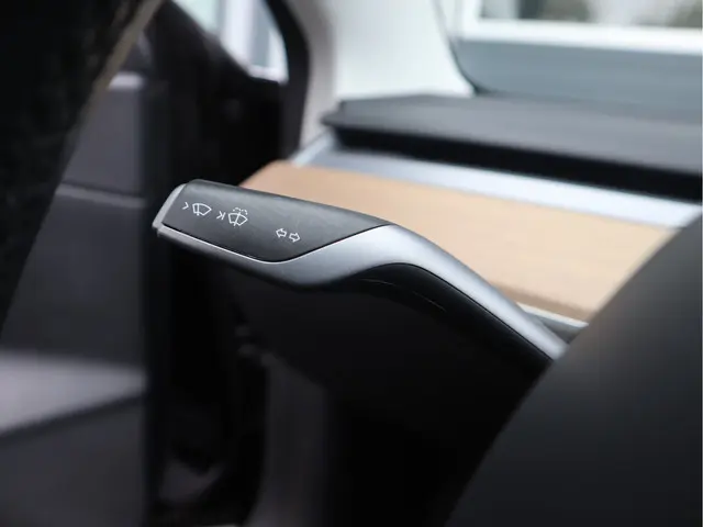 Tesla Model 3 Standard RWD Plus 60 kWh 2020 Elektrisch 31