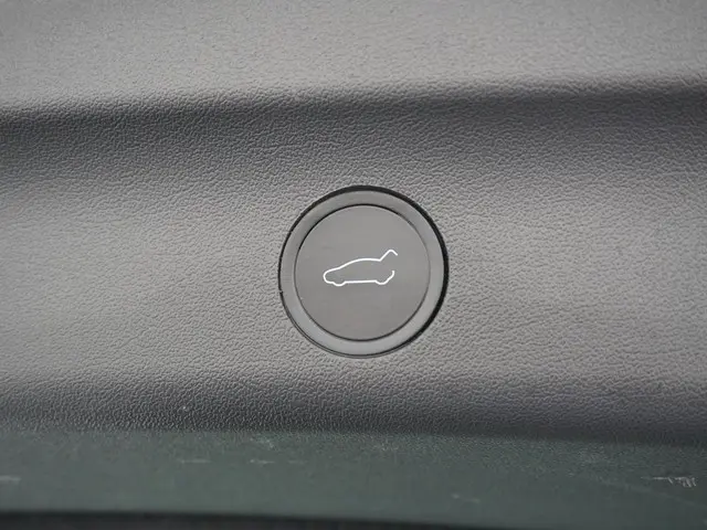 Tesla Model Y Performance AWD 75 kWh 2022 Elektrisch 12