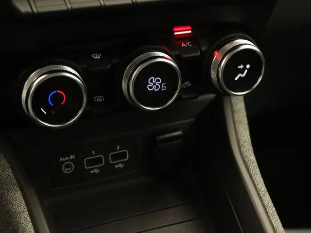 Renault ZOE R110 Life Carshare 52 kWh 2020 Elektrisch 30