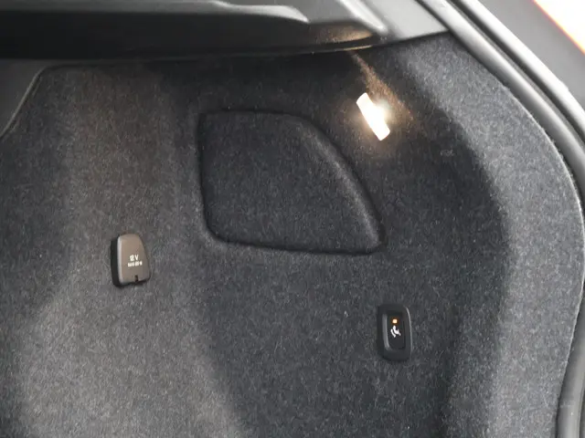 Volvo XC40 Recharge P8 AWD R-Design 2020 Elektrisch 14