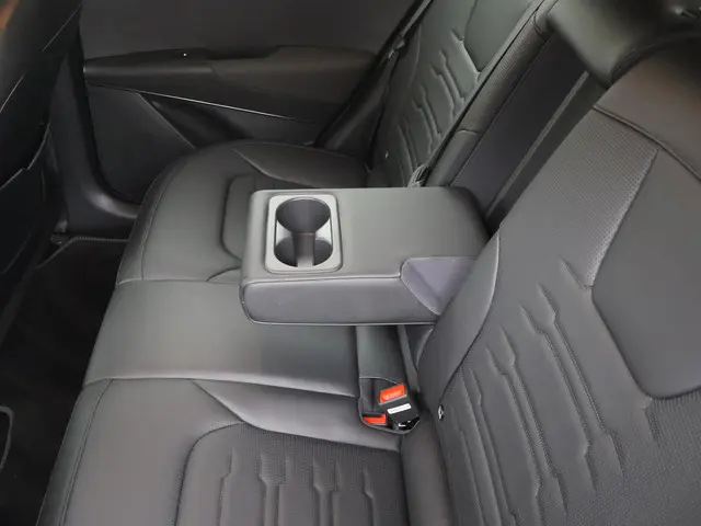 Kia Niro EV Edition Advanced 64.8 kWh 2024 Elektrisch 41