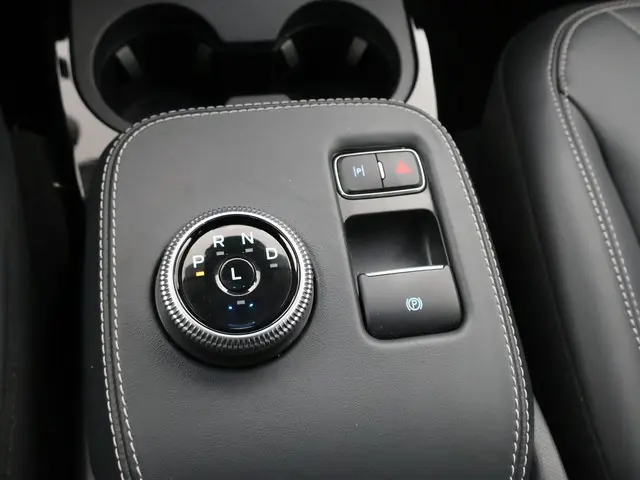 Ford Mustang Mach-E 75kWh LUCID RED 2020 Elektrisch 29