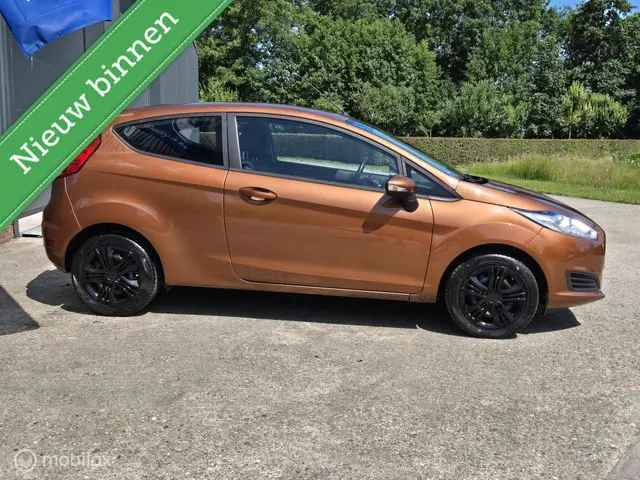 Ford Fiesta 1.0 Style,airco.3drs 2016 Benzine 9