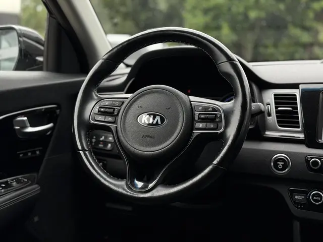 Kia e-Niro ExecutiveLine 64 kWh 2020 Elektrisch 19