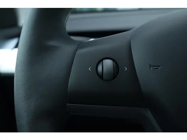 Tesla Model Y Long Range AWD 75 kWh 2023 Elektrisch 19