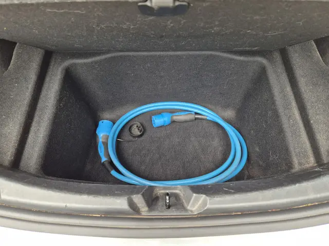 Tesla Model 3 Standard RWD Plus 60 kWh 2019 Elektrisch 8