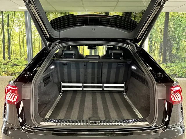 Audi RSQ8 4.0 TFSI RS Q8 quattro 2021 Hybride Benzine 37