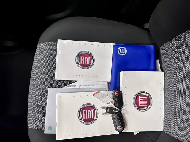 Fiat Doblò Cargo 1.4 T-Jet Natural Power HD 2013 CNG 20