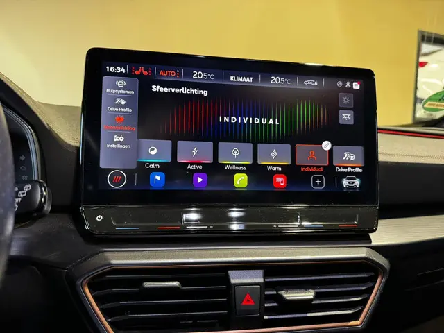 CUPRA Formentor 2.0 TSI VZ 2023 Benzine 13