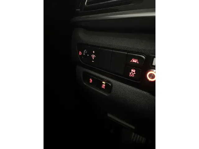 Kia e-Niro DynamicLine 64 kWh 2022 Elektrisch 33