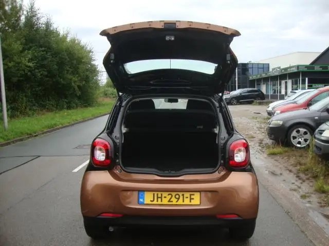 Smart Forfour 1.0 Essential Edition ( 2016 ) 2016 Benzine 25