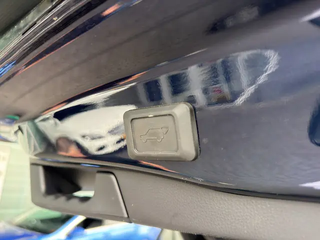 Toyota RAV4 2.5 Hybrid Style 2024 Hybride Benzine 19