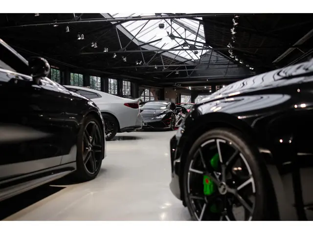 Tesla Model 3 RWD 2023 Elektrisch 18