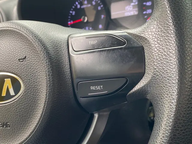Kia Picanto 1.0 CVVT EconomyPlusLine 2018 Benzine 12