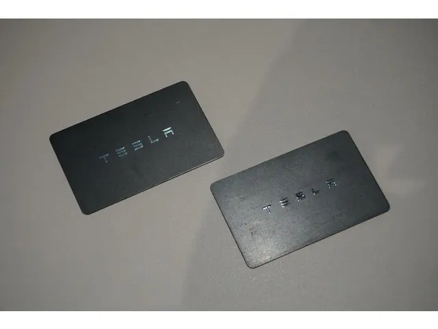 Tesla Model 3 Standard RWD Plus 60 kWh 2020 Elektrisch 14