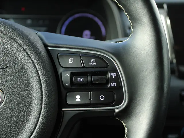 Kia e-Niro ExecutiveLine 64 kWh 2019 Elektrisch 18