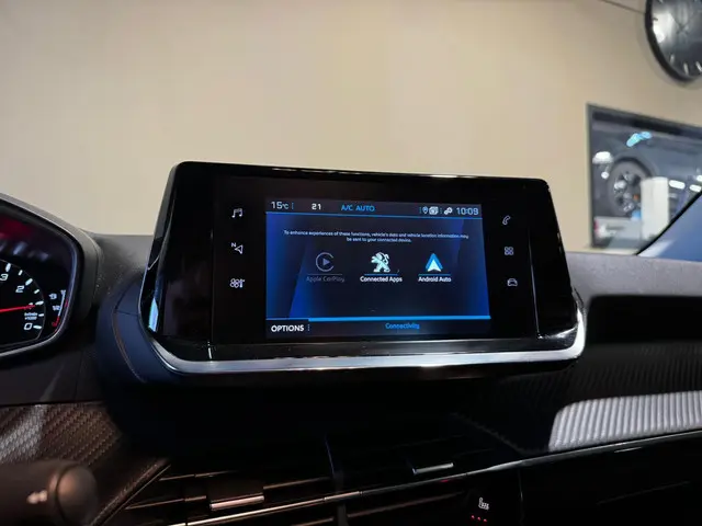 Peugeot 2008 1.2 Blue Lease Active 2021 Benzine 14