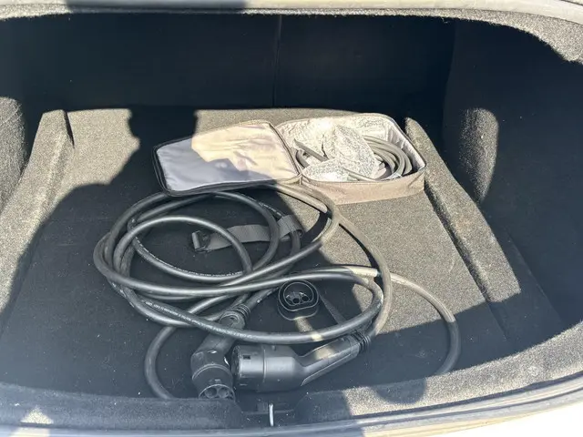 Tesla Model 3 Long Range AWD 78 kWh 2023 Elektrisch 5