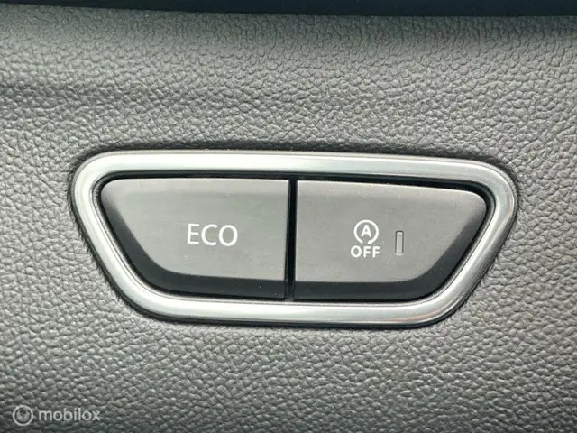 Renault Kadjar 1.3 TCe Intens 2020 Benzine 12