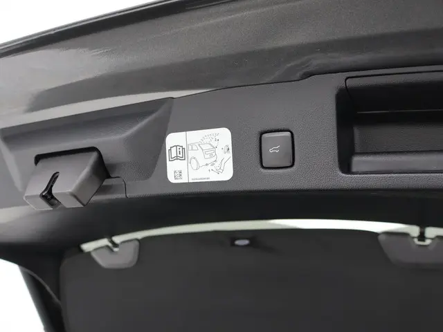 Ford Kuga 2.5 PHEV 225PK Vignale 2021 Hybride Benzine 31
