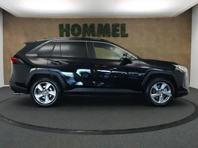 Toyota RAV4 2.5 Hybrid Active Plus 2020 Hybride Benzine 10