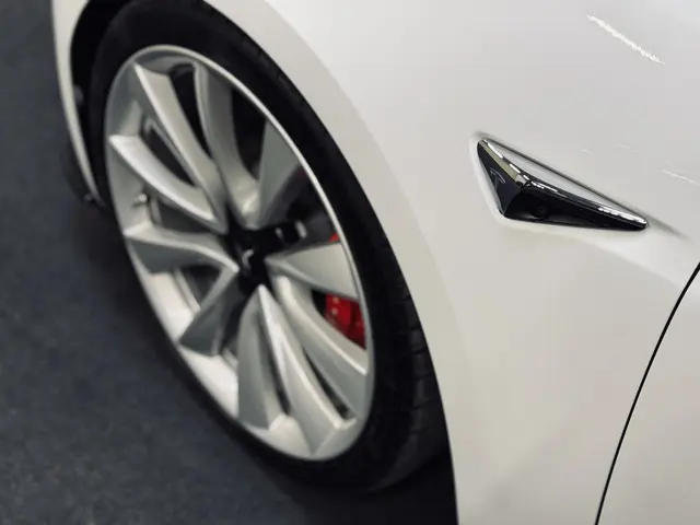 Tesla Model 3 Performance AWD 75 kWh 2019 Elektrisch 24