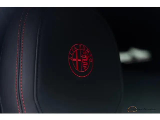 Alfa Romeo 4C 1750TBI TCT 2016 Benzine 36