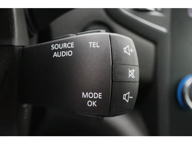 Renault Mégane 1.3 TCe Bose 2019 Benzine 37