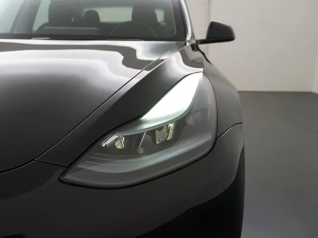 Tesla Model 3 Standard RWD Plus 60 kWh 2023 Elektrisch 14