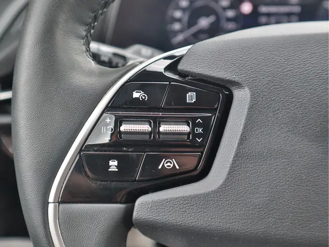 Kia Niro EV ExecutiveLine 64.8 kWh 2023 Elektrisch 13