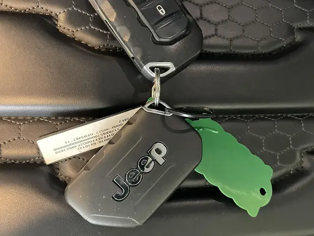 Jeep Wrangler 2.0T Sterling 2019 Benzine 66
